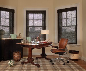 Study by Interior Designer Boston & Cambridge, Heidi Pribell
